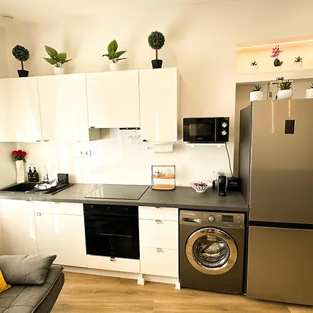 Vibe S33 Apartman Modern & Premium * セーケシュフェヘールヴァール